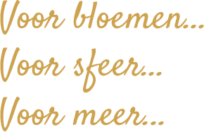 Voor bloemen, voor sfeer, voor meer